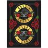 Bicycle Guns N’ Roses Playing Cards, Features Iconic Guns N’ Roses Band Designs, Black and Gold, 1 Deck