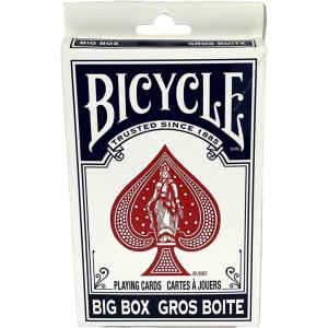 Bicycle Big Box(Blue)